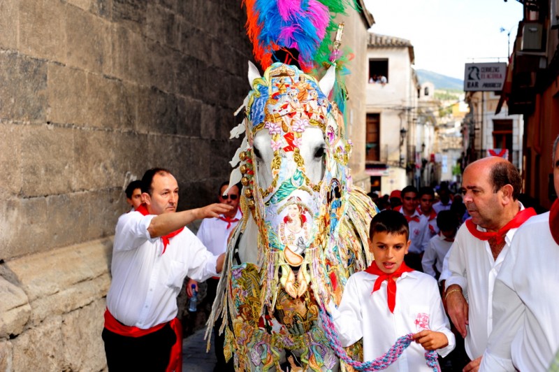 <span style='color:#780948'>ARCHIVED</span> - Running of the Wine Horses recognised by UNESCO