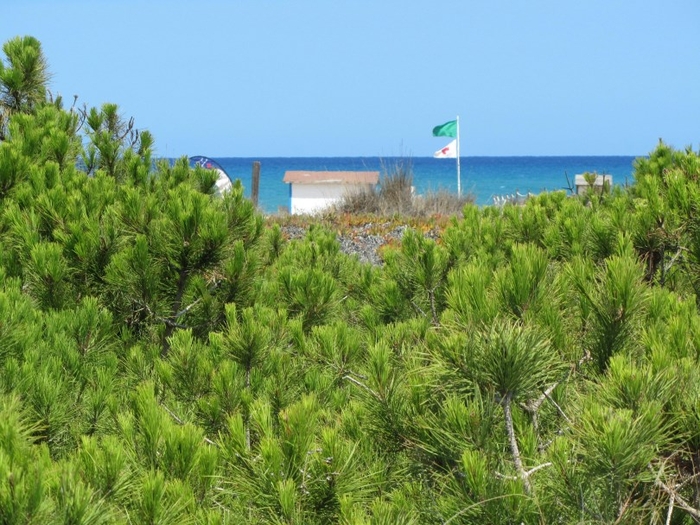 Playa de las Ortigas / Platja de les Ortigues, Guardamar del Segura
