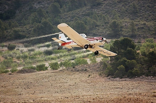 <span style='color:#780948'>ARCHIVED</span> - Valencia government declares war on pine shoot beetles in 20 more municipalities