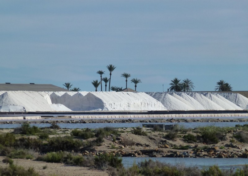 <span style='color:#780948'>ARCHIVED</span> - Heavy snowfall in Spain brought sales boom for the salt pans of San Pedro del Pinatar