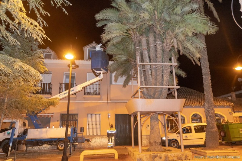 <span style='color:#780948'>ARCHIVED</span> - Cartagena council continues red palm weevil treatments on its 18,000 palms