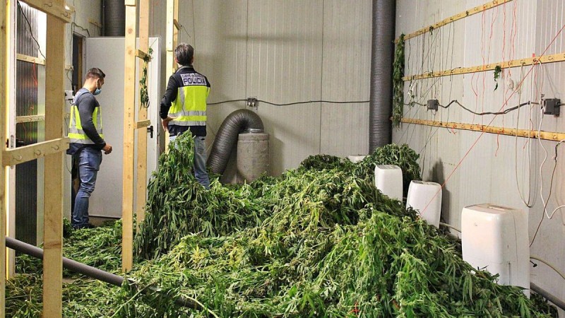 <span style='color:#780948'>ARCHIVED</span> - 900 kilos of marihuana found in Valencia packed and ready for transport to the Netherlands