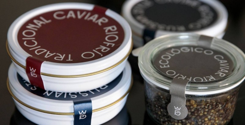 <span style='color:#780948'>ARCHIVED</span> - Granada caviar producer breeding Spanish-produced beluga sturgeon