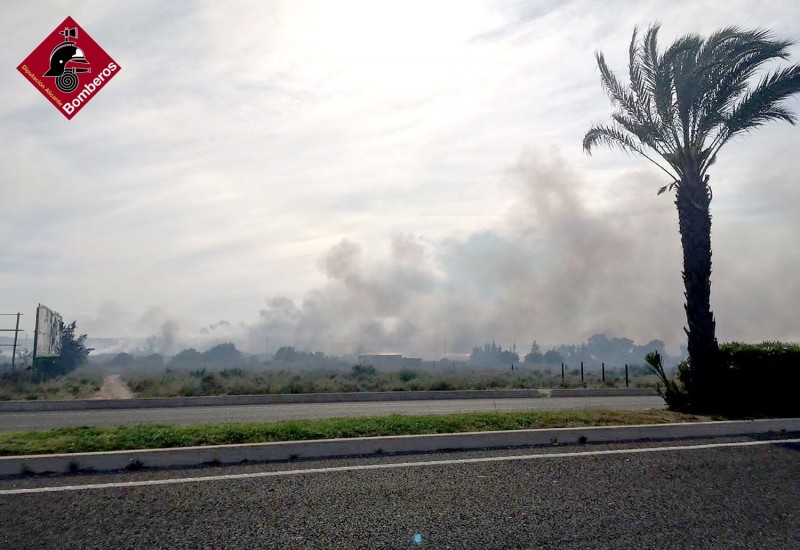 <span style='color:#780948'>ARCHIVED</span> - Guardia Civil investigation underway to clarify cause of fire in Torrevieja Lagunas de la Mata park