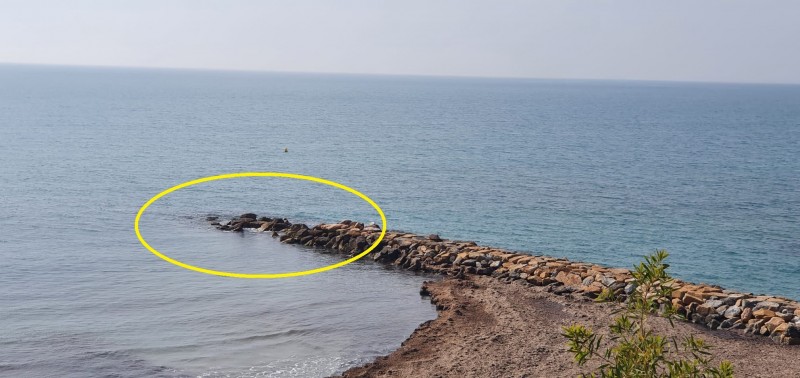 <span style='color:#780948'>ARCHIVED</span> - Coastal authority rules out risk to La Caleta beach in Orihuela Costa