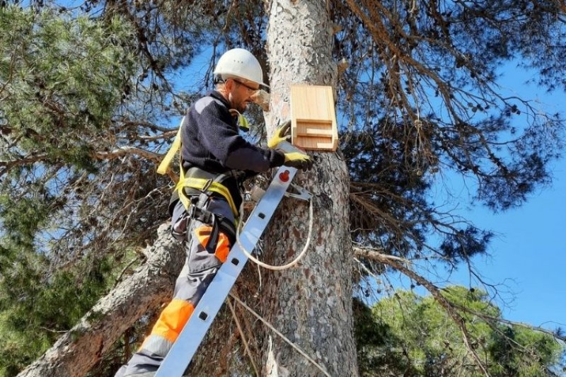 <span style='color:#780948'>ARCHIVED</span> - Rojales bolsters biological control of mosquitoes with nests for birds and bats