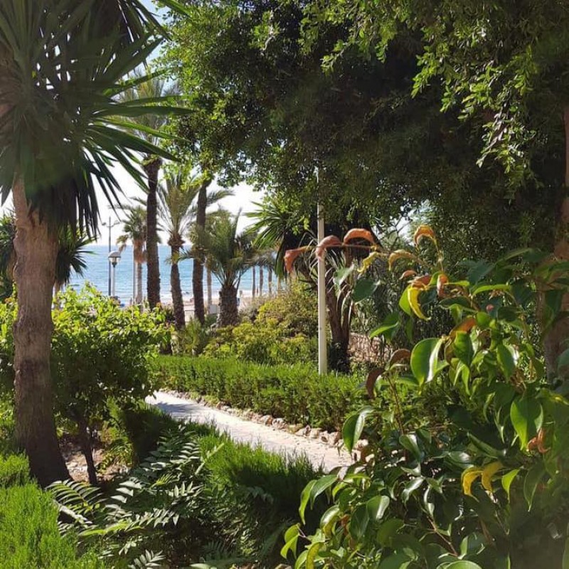 <span style='color:#780948'>ARCHIVED</span> - Villajoyosa in Alicante province begins landscaping its central park