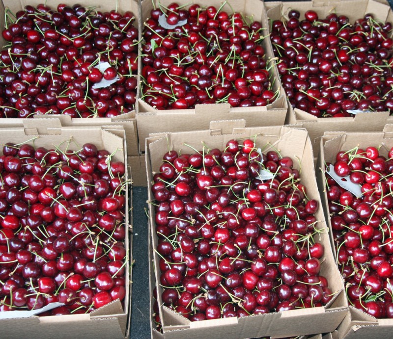 <span style='color:#780948'>ARCHIVED</span> - Agriculture department donates experimental cherries to Cáritas charity in Caravaca de la Cruz