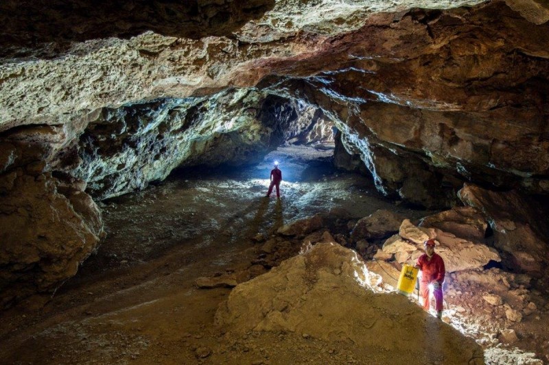 <span style='color:#780948'>ARCHIVED</span> - Barcelona palaeontologists return to prehistoric Cueva Victoria site in Cartagena this summer