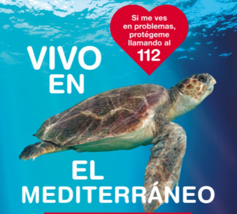 <span style='color:#780948'>ARCHIVED</span> - Loggerhead turtle released into the Med in Calblanque after vets amputated an injured flipper