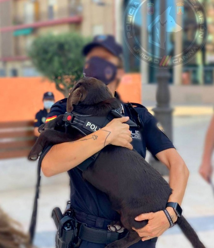 <span style='color:#780948'>ARCHIVED</span> - Mazarron police preparing canine unit for duty