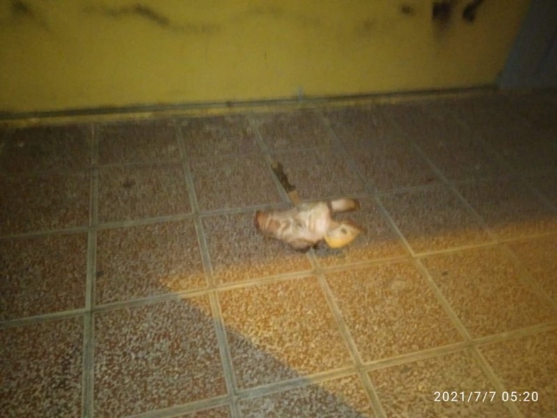 <span style='color:#780948'>ARCHIVED</span> - Racist graffiti and severed pig head rapidly removed from Murcia mosque