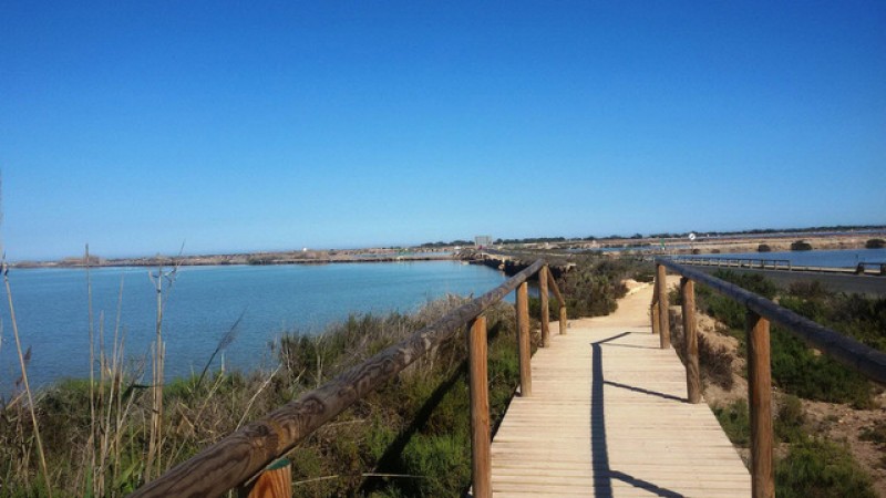 <span style='color:#780948'>ARCHIVED</span> - New life for Cadiz salt marshes thanks to EU-funded project
