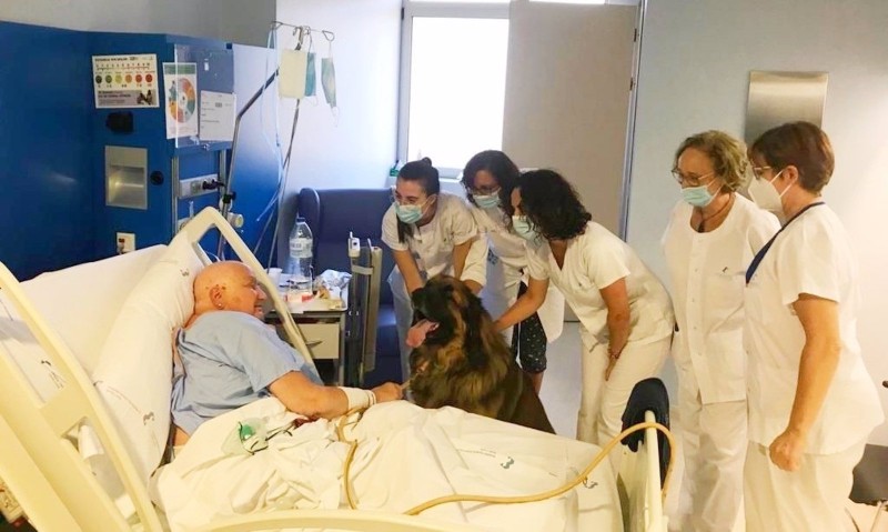 <span style='color:#780948'>ARCHIVED</span> - Terminal patients in Murcia hospitals will be able to say goodbye to their pets