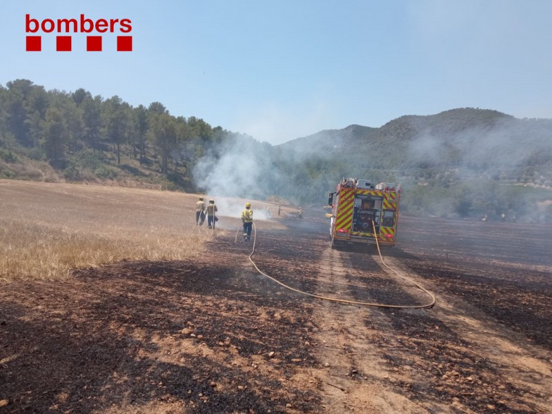 Third of fires in Catalonia caused by discarded cigarette butts
