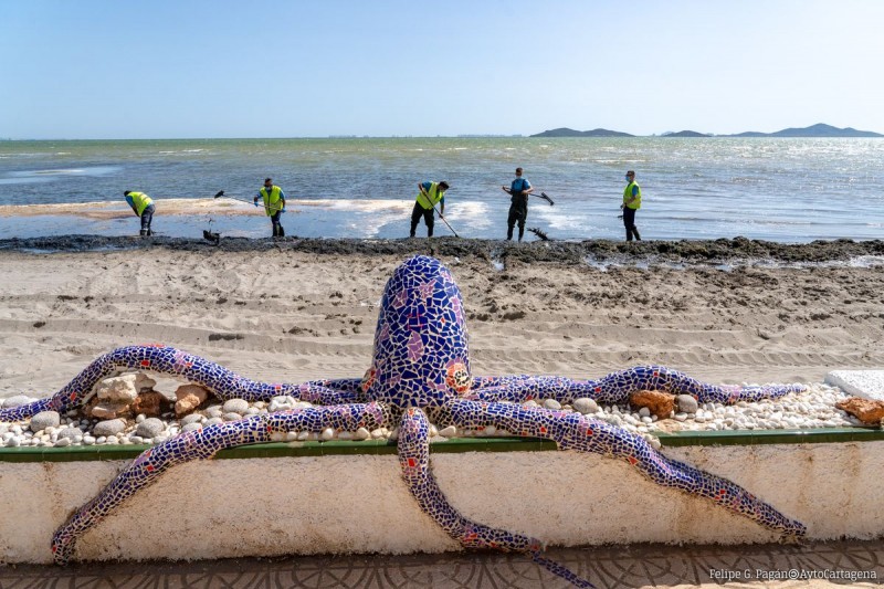 <span style='color:#780948'>ARCHIVED</span> - Regional government of Murcia commits to removing algal deposits from Mar Menor beaches