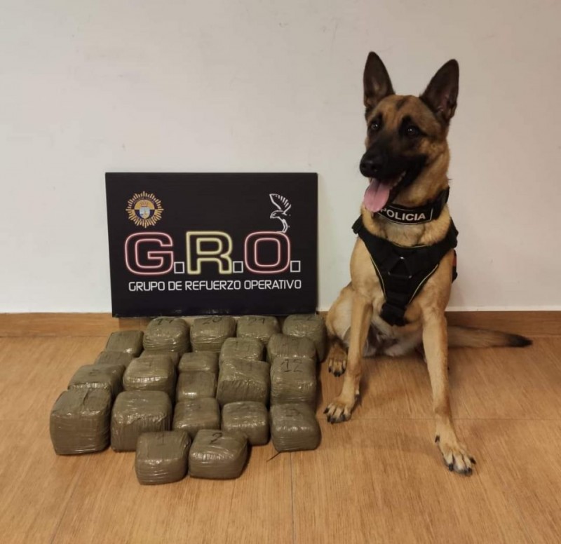 <span style='color:#780948'>ARCHIVED</span> - Police dog sniffs out cache of drugs off Torrevieja coast