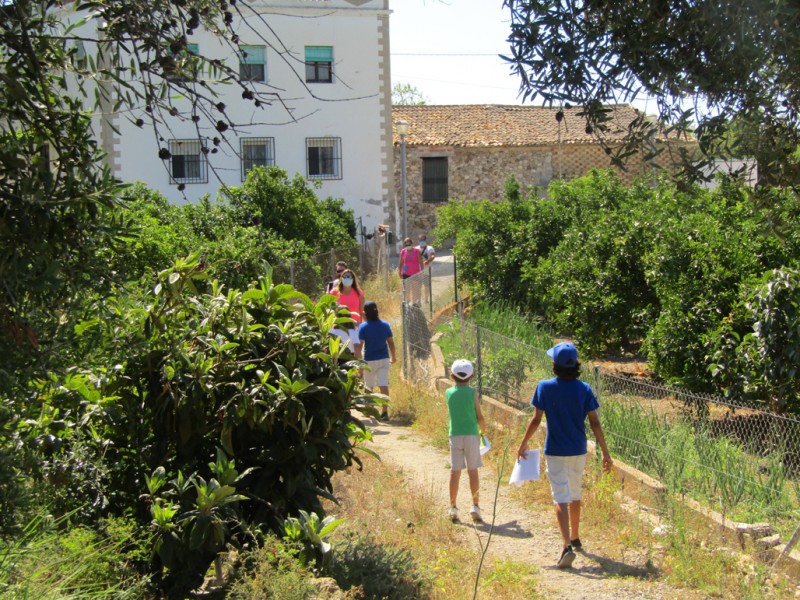 <span style='color:#780948'>ARCHIVED</span> - Free guided tours of Altea throughout August
