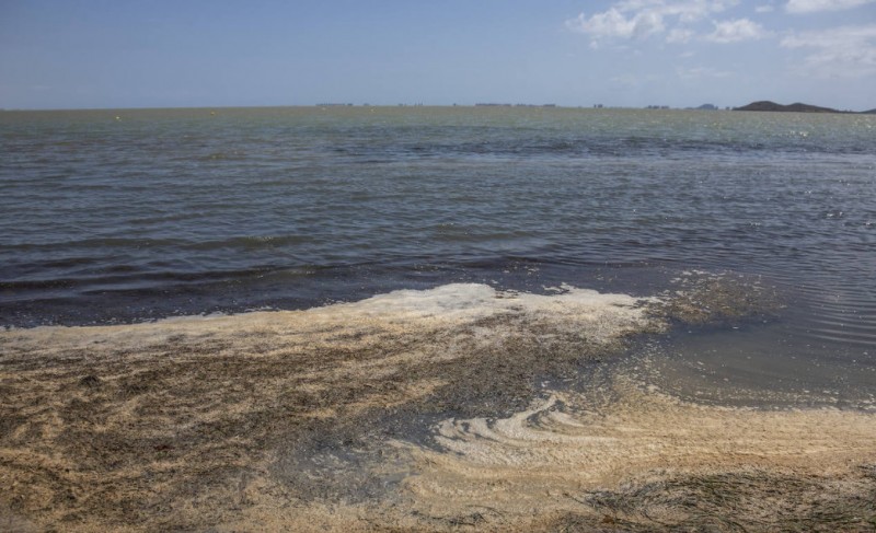 Warnings over deterioration of water quality in the Mar Menor