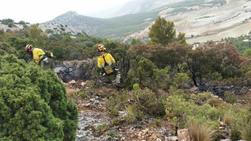 <span style='color:#780948'>ARCHIVED</span> - Lightning strike leads to forest fire in Lorca