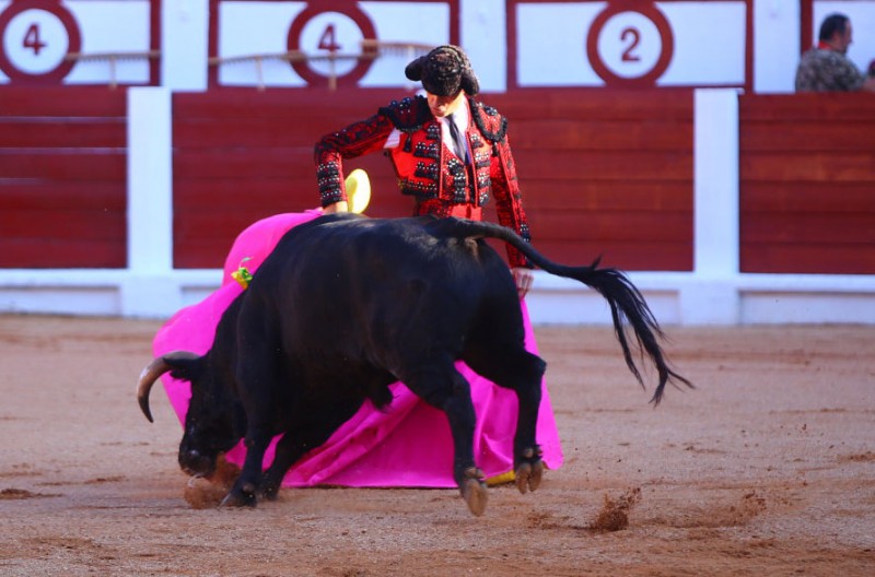 Gijon bullfights scrapped after Feminist and Nigerian are killed in the ring