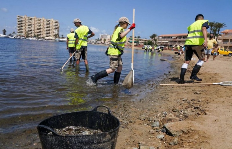 <span style='color:#780948'>ARCHIVED</span> -   ANSE and WWF say eight tons of fish have been removed from the Mar Menor since anoxia began
