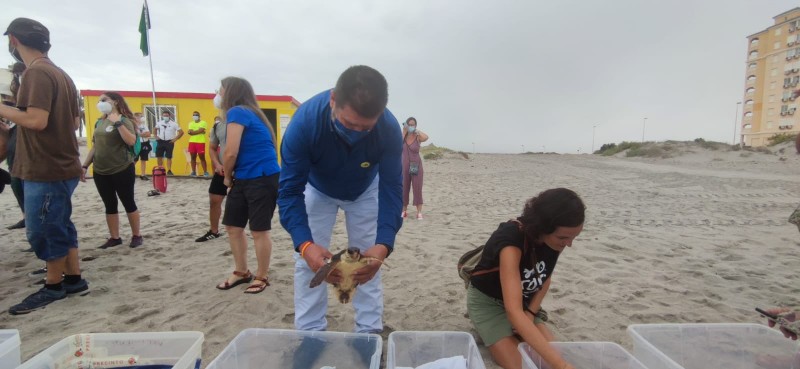 <span style='color:#780948'>ARCHIVED</span> - 15 loggerhead turtles hatched in La Manga are returned to the sea