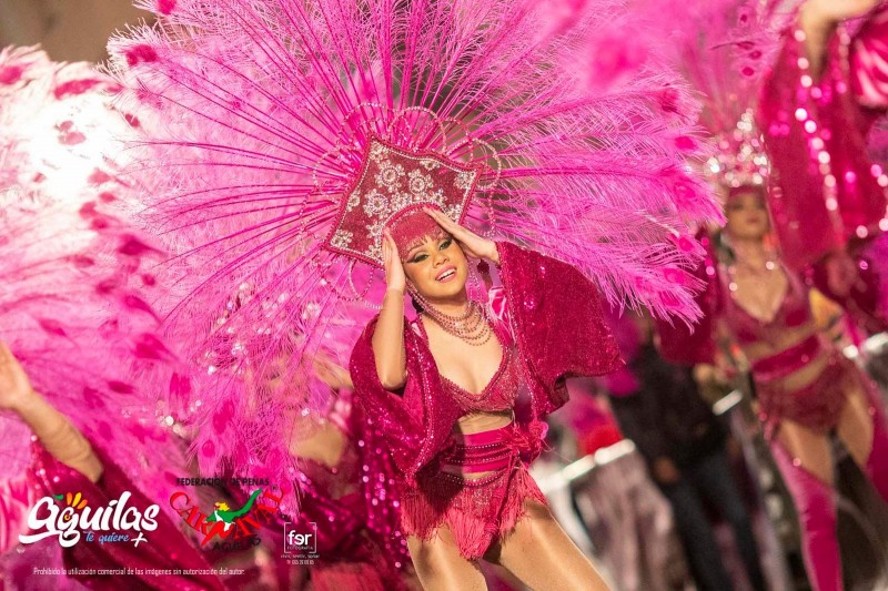 <span style='color:#780948'>ARCHIVED</span> - Aguilas Carnival cancelled for second year running