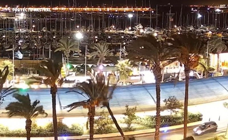 <span style='color:#780948'>ARCHIVED</span> - Video captures giant falling palm tree narrowly miss motorists in Torrevieja