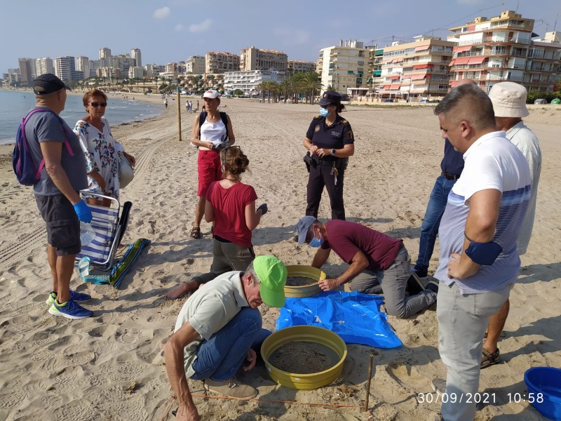 <span style='color:#780948'>ARCHIVED</span> - Hundreds of microplastics cleared from just two metres of beach in El Campello