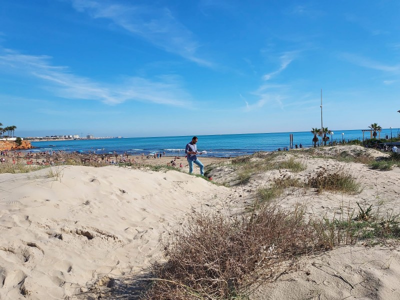 <span style='color:#780948'>ARCHIVED</span> - Coastal dune restoration begins in Orihuela