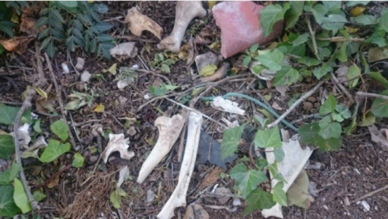 <span style='color:#780948'>ARCHIVED</span> - Human bones found beside train tracks in Andalusia