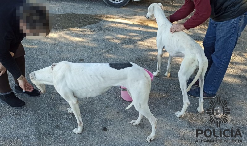 <span style='color:#780948'>ARCHIVED</span> - Alhama de Murcia police search for animal cruelty culprits