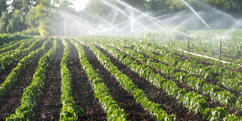 <span style='color:#780948'>ARCHIVED</span> - Murcia farmers receive 7 million euros to modernise irrigation equipment