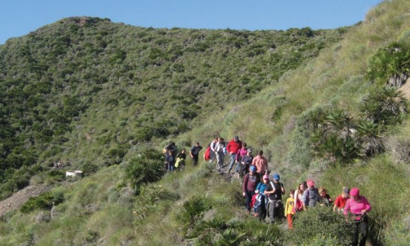 Nature walks and activities in Murcia: January, February and March