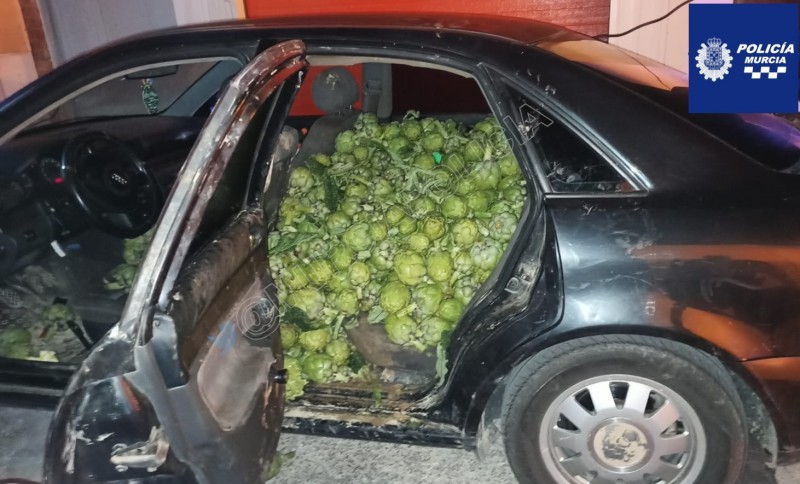 Murcia police caught this car speeding and what they found inside is just bizarre