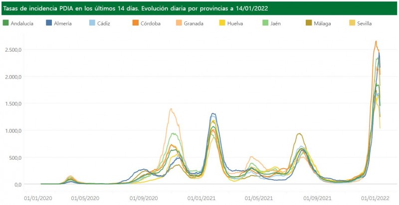 Andalusia incidence rate is half that in Spain: Andalusia Covid update January 14