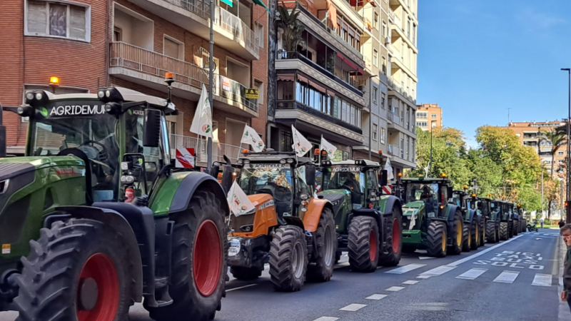 <span style='color:#780948'>ARCHIVED</span> - Why are farmers striking in the Region of Murcia?