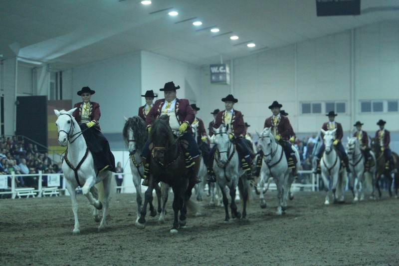 <span style='color:#780948'>ARCHIVED</span> - April 1 to 3 2022: EQUIMUR horse show at IFEPA exhibition centre in Torre Pacheco