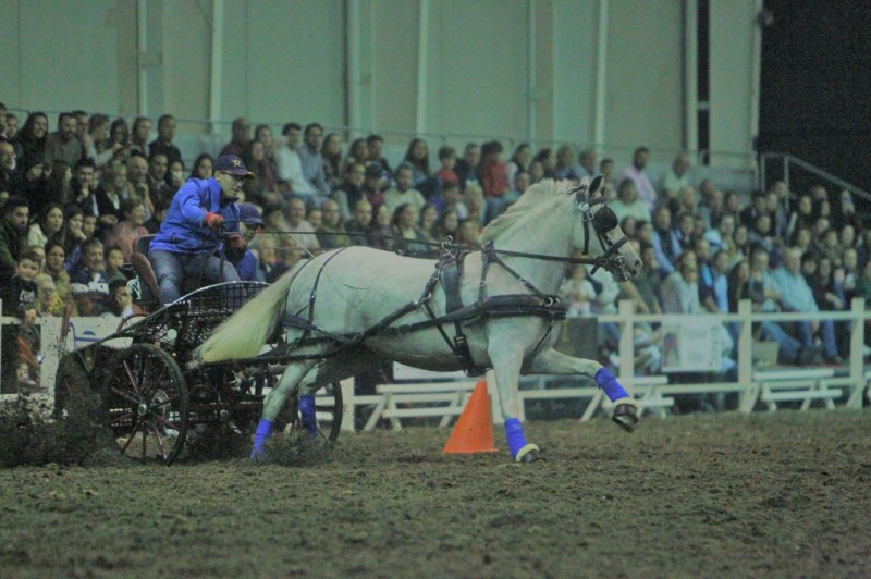 <span style='color:#780948'>ARCHIVED</span> - April 1 to 3 2022: EQUIMUR horse show at IFEPA exhibition centre in Torre Pacheco