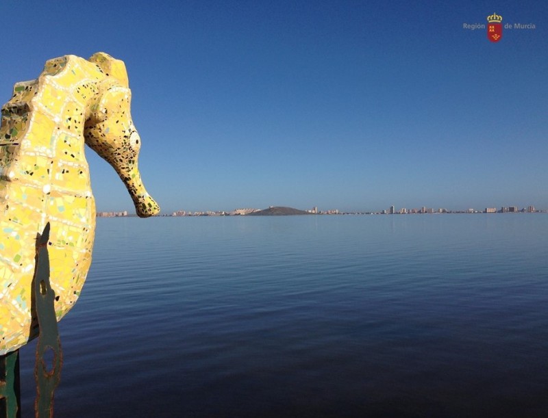 Mar Menor water level is 1 metre higher than a month ago, but it is the wrong type of water