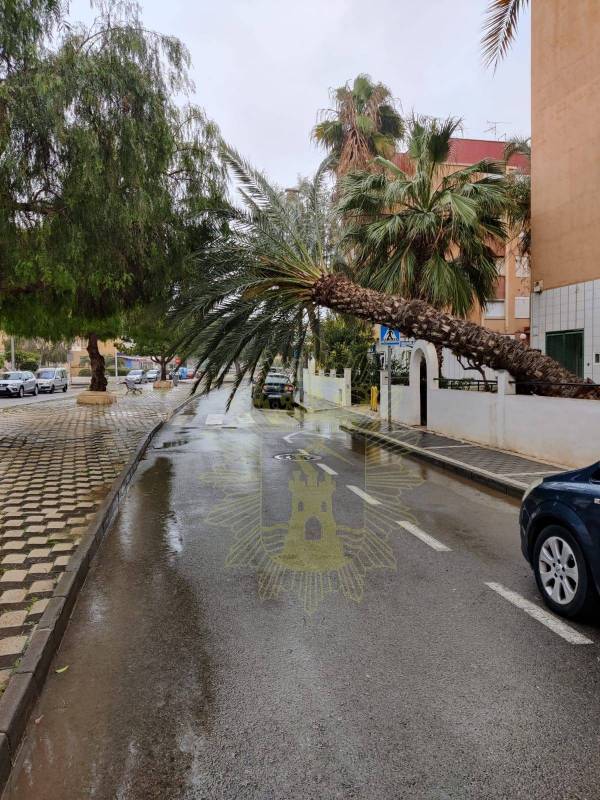 <span style='color:#780948'>ARCHIVED</span> - The best videos and photos of the rain, wind and snow in Murcia yesterday