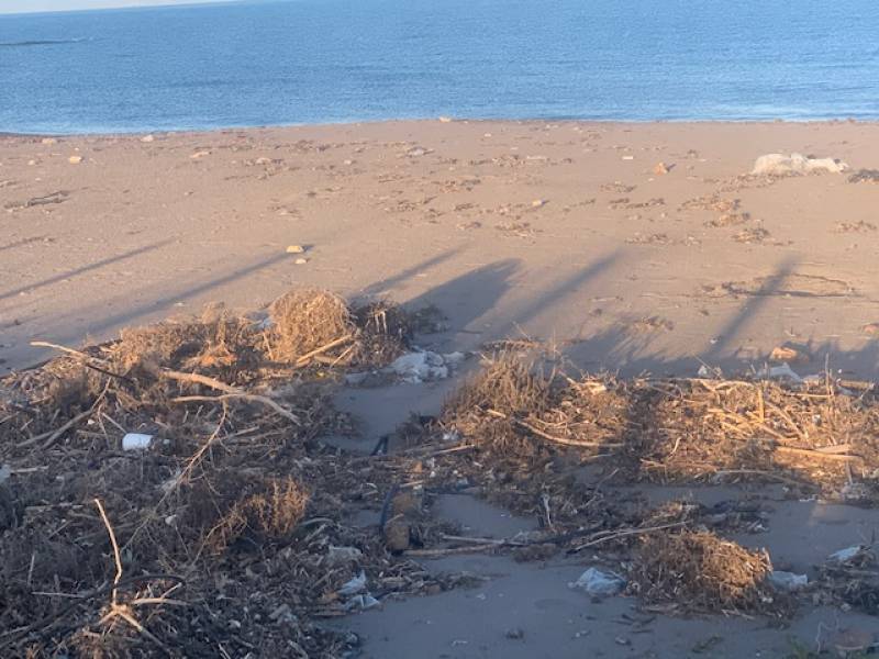 <span style='color:#780948'>ARCHIVED</span> - Aguilas beaches to get 650,000-euro makeover to mend storm damage and clean up waste