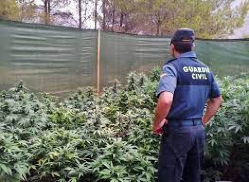 <span style='color:#780948'>ARCHIVED</span> - Arrests in Murcia Region and Andalucia as police shut down major drug trafficking gangs