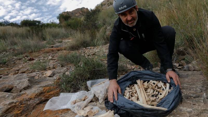 <span style='color:#780948'>ARCHIVED</span> - Archaeologists in Murcia find hundreds of prehistoric human remains in a cave