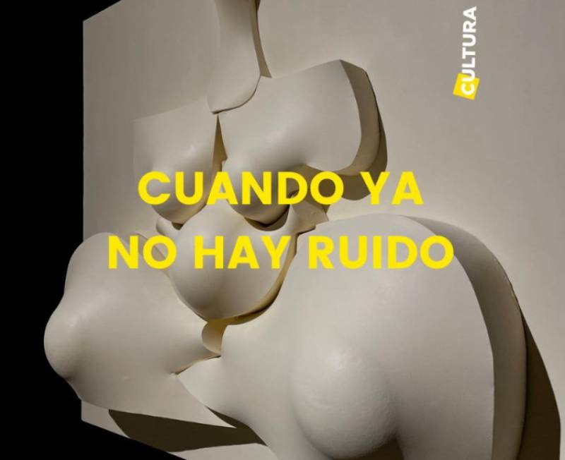 <span style='color:#780948'>ARCHIVED</span> - To June 12, Cuando Ya No Hay Ruido, exhibition by Manuel Frutos Llamazares in the Palacio Almudi in Murcia