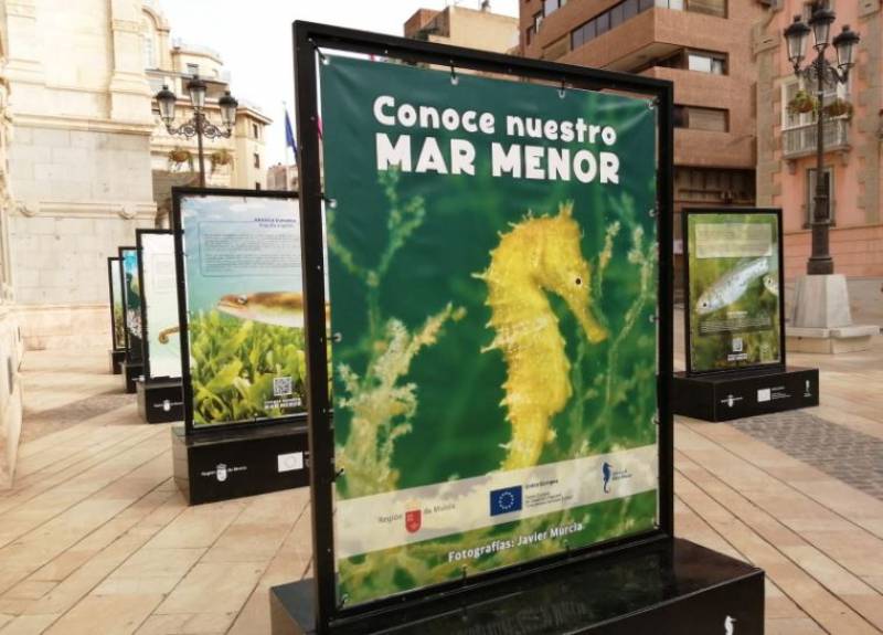 <span style='color:#780948'>ARCHIVED</span> - Controversial Mar Menor exhibition removed from Cartagena a day early