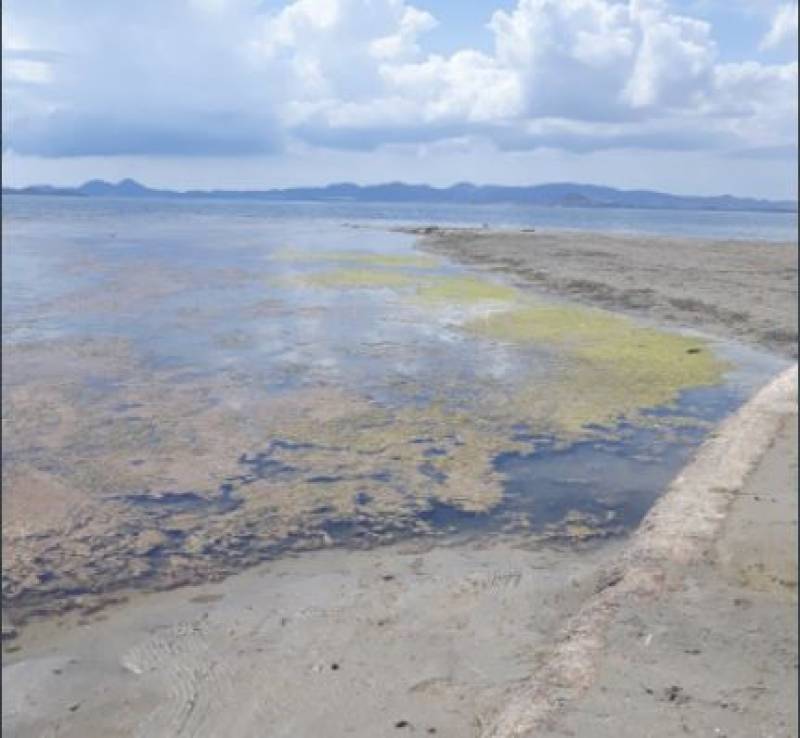 <span style='color:#780948'>ARCHIVED</span> - Murcia prepares scientific trial to oxygenate the Mar Menor