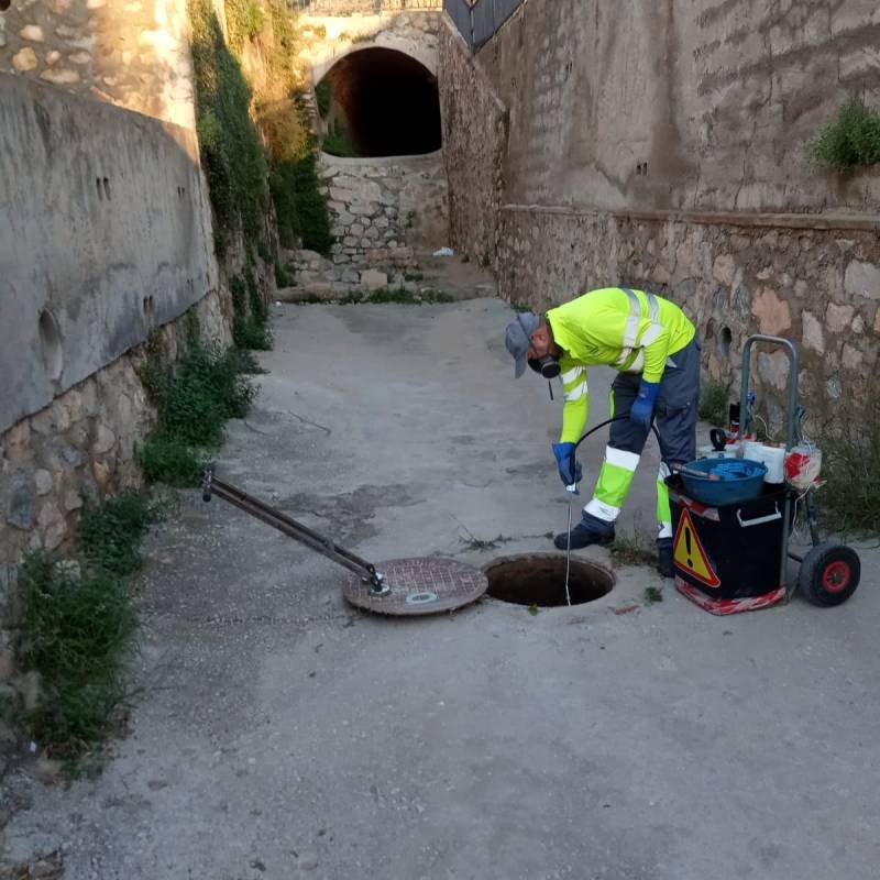 <span style='color:#780948'>ARCHIVED</span> - Callosa de Segura ramps up rodent and other pest control