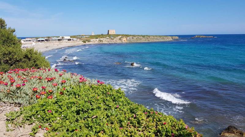 <span style='color:#780948'>ARCHIVED</span> - Tabarca island in Alicante to introduce mooring fee and booking scheme